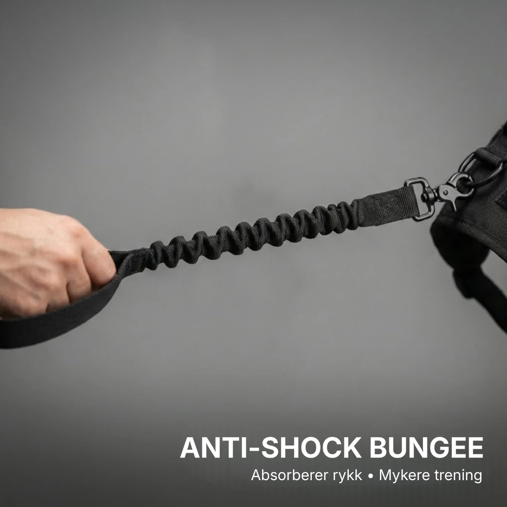 Hundtella Anti-drag & Finn hjem-sele