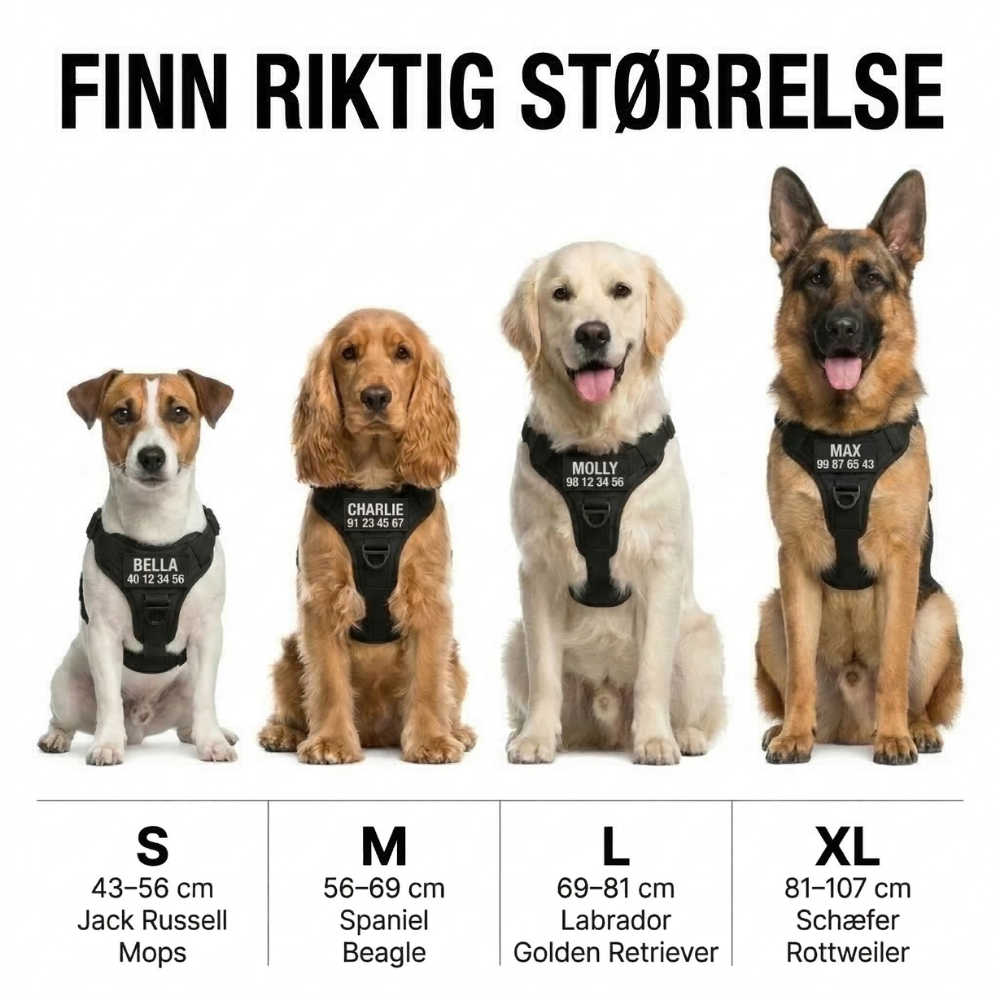 Hundtella Anti-drag & Finn hjem-sele