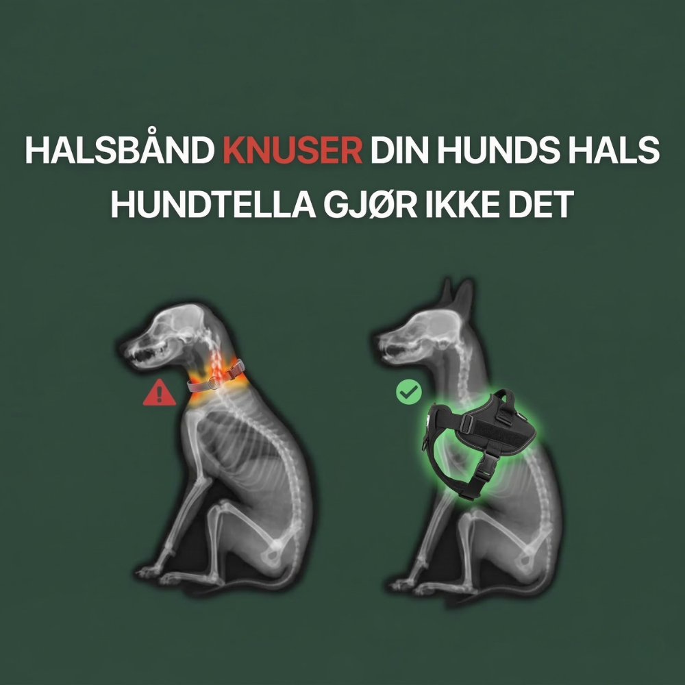 Hundtella Anti-drag & Finn hjem-sele