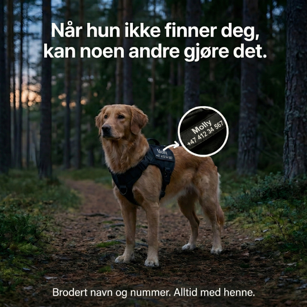 Hundtella Anti-drag & Finn hjem-sele