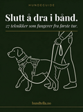 eBok – 27 tips for å få hunden din til å slutte å dra