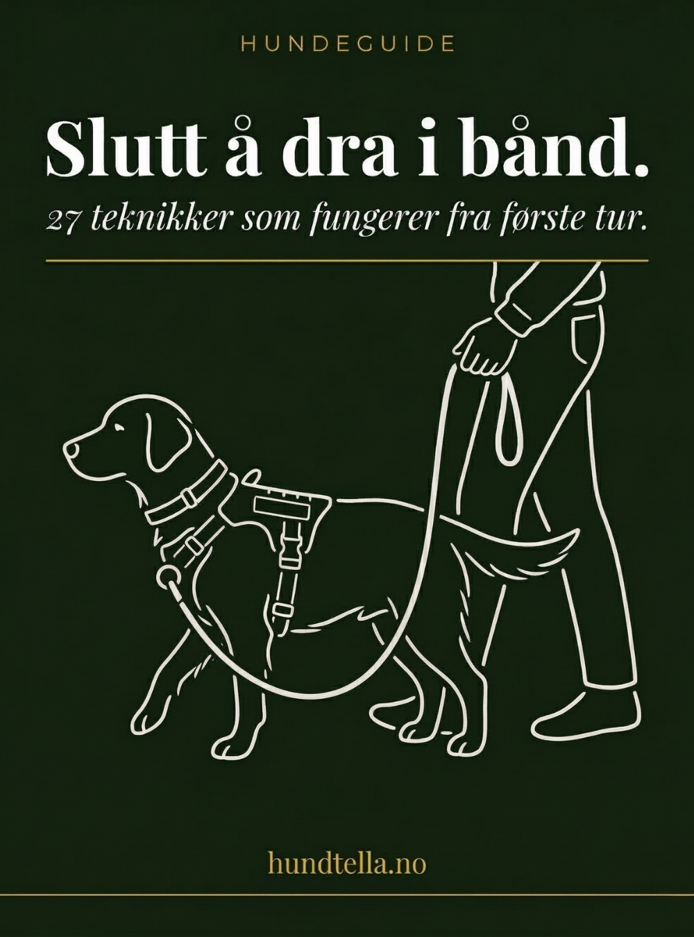 eBok – 27 tips for å få hunden din til å slutte å dra