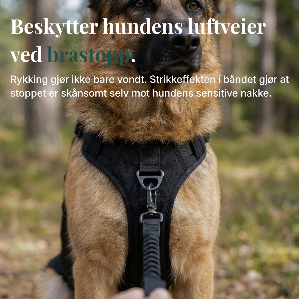 Hundtella Anti-drag & Finn hjem-sele